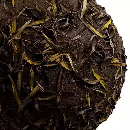 Ground Seamless Texture 2K - EXR 5 - JPG 5 Texture