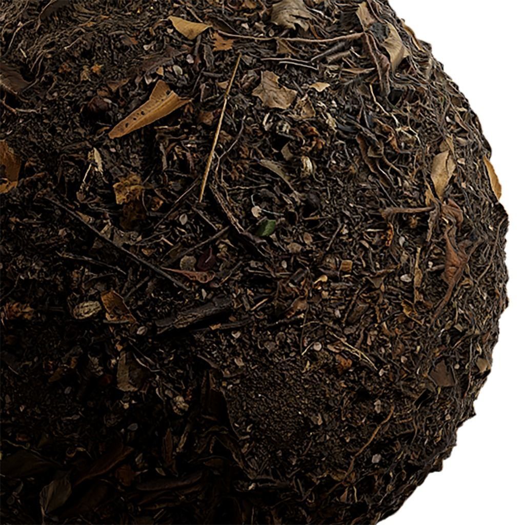 Ground Seamless Texture 2K - EXR 5 - JPG 5 Texture Texture_1