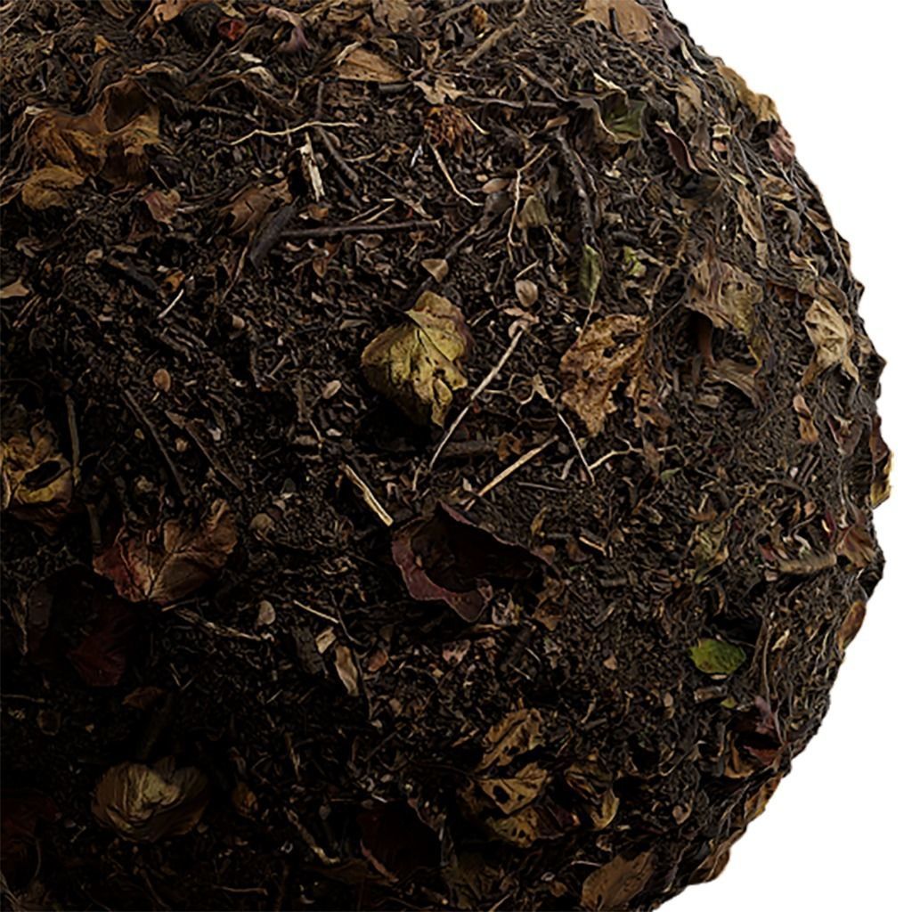 Ground Seamless Texture 2K - EXR 5 - JPG 5 Texture Texture_3