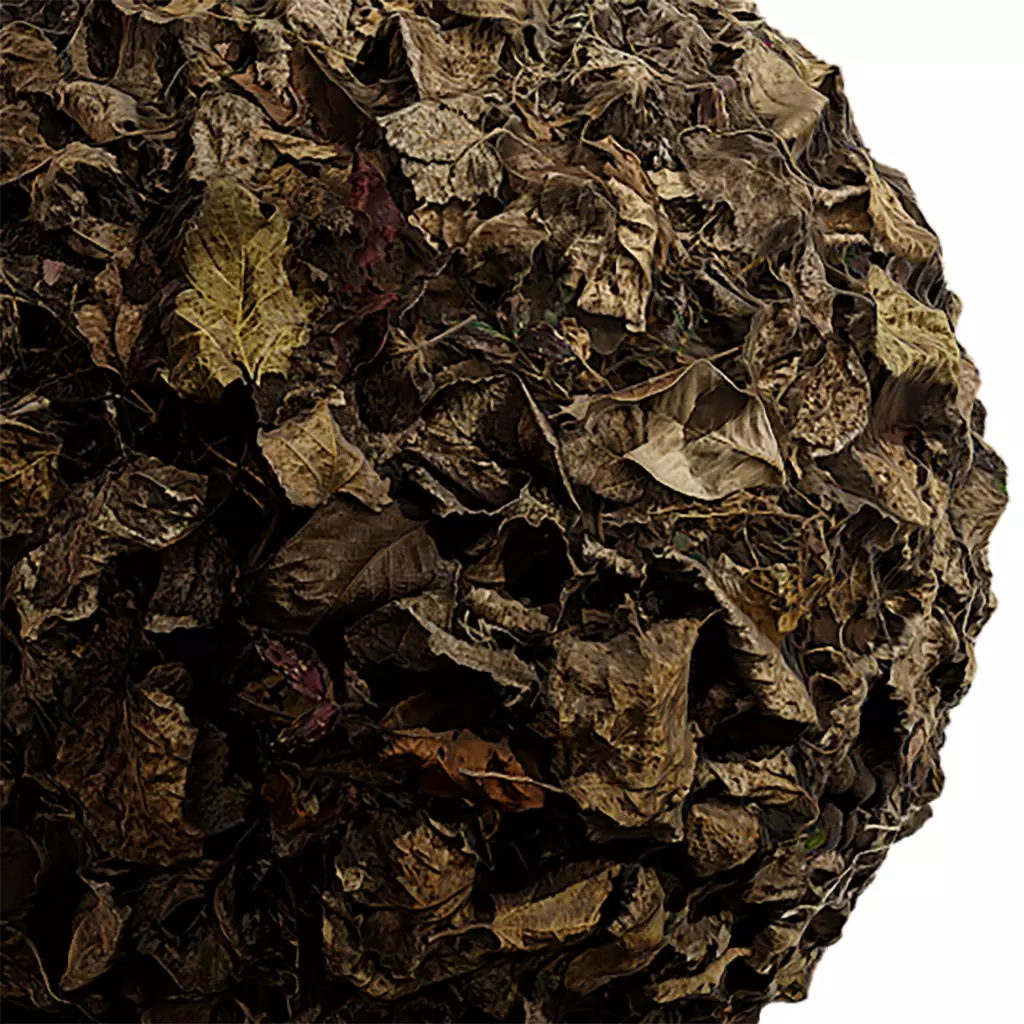 Ground Seamless Texture 2K - EXR 5 - JPG 5 Texture Texture_0