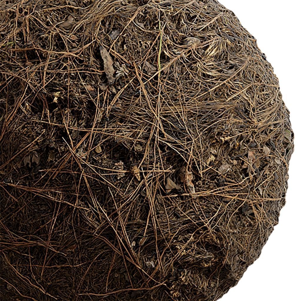 Ground Seamless Texture 2K - EXR 5 - JPG 5 Texture Texture_3