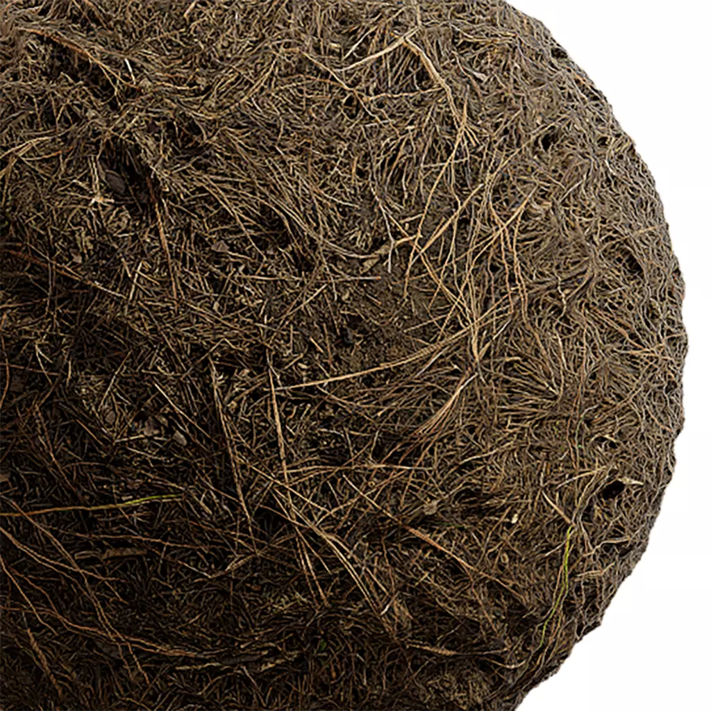 Ground Seamless Texture 2K - EXR 5 - JPG 5 Texture Texture_0