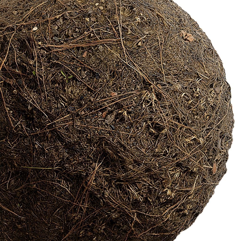 Ground Seamless Texture 2K - EXR 5 - JPG 5 Texture Texture_2