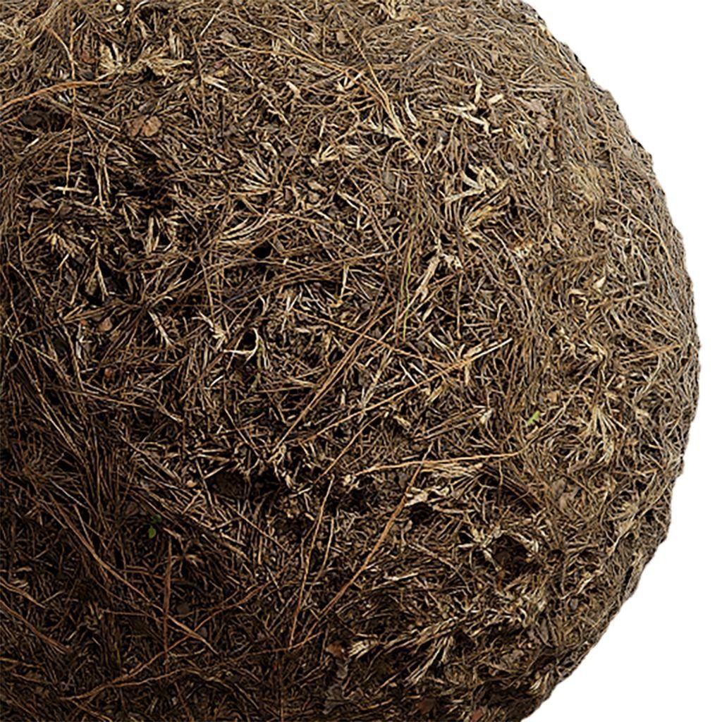 Ground Seamless Texture 2K - EXR 5 - JPG 5 Texture Texture_1