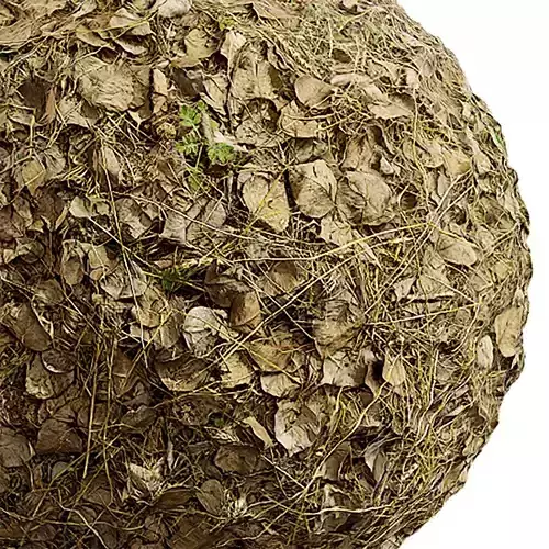 Ground Seamless Texture 2K - EXR 5 - JPG 5 Texture