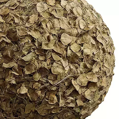 Ground Seamless Texture 2K - EXR 5 - JPG 5 Texture