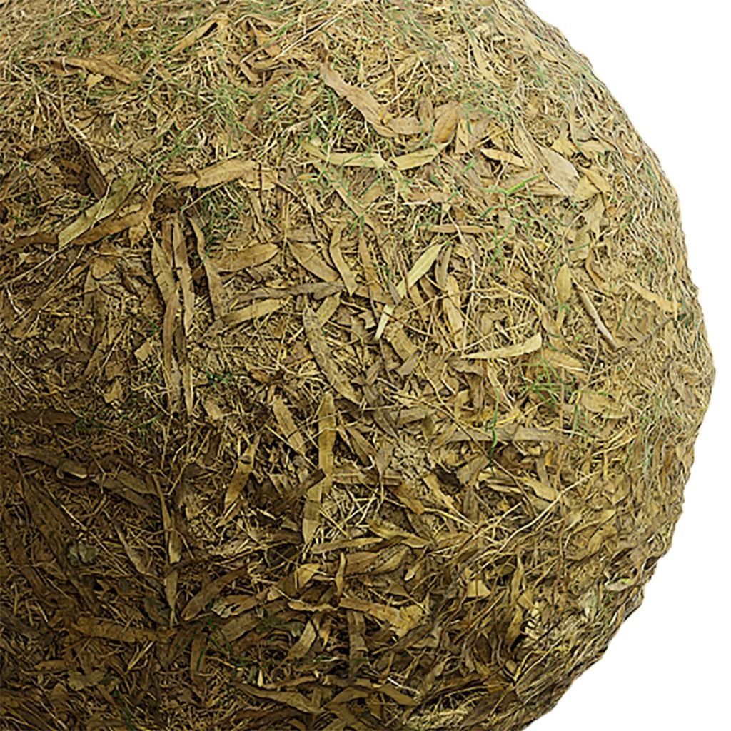 Ground Seamless Texture 2K - EXR 5 - JPG 5 Texture Texture_1