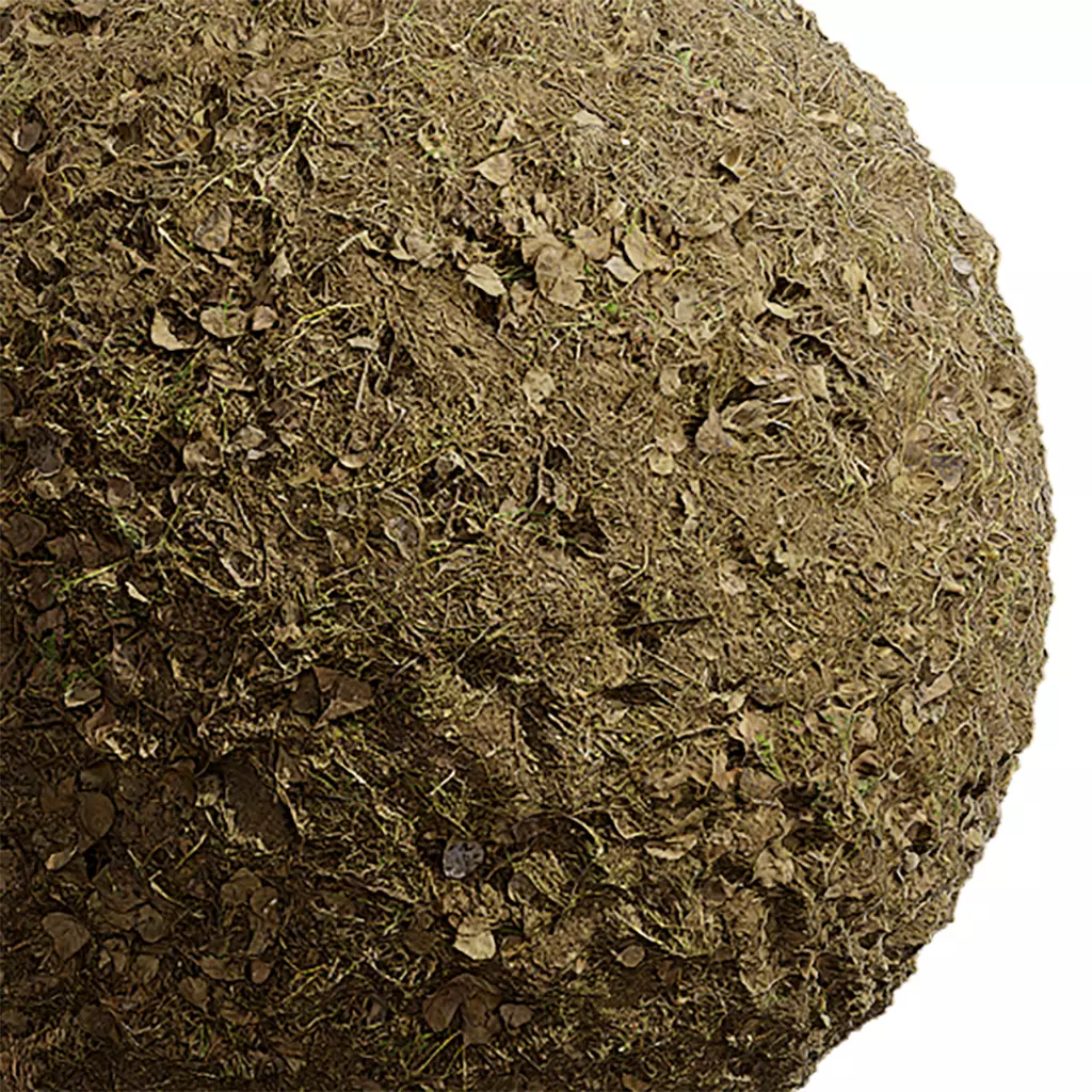 Ground Seamless Texture 2K - EXR 5 - JPG 5 Texture Texture_0