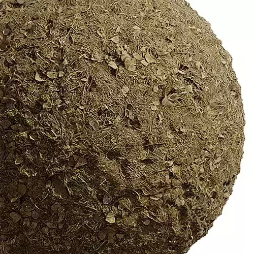 Ground Seamless Texture 2K - EXR 5 - JPG 5 Texture