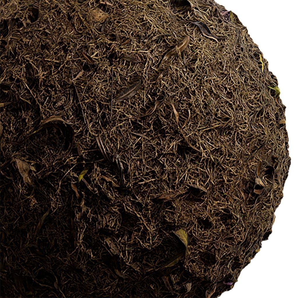 Ground Seamless Texture 2K - EXR 5 - JPG 5 Texture Texture_3