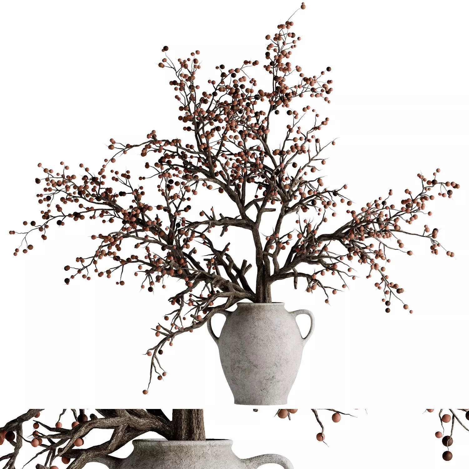 Indoor dry potted plants 3D model_0