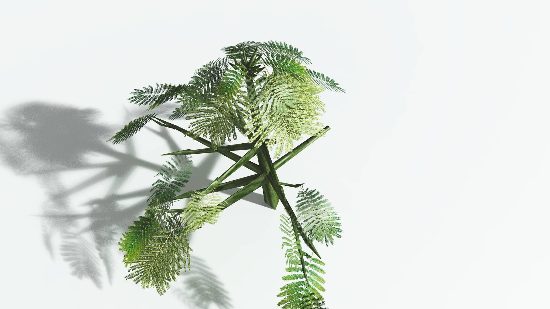 EVERYPlant Umbrella Thorn Acacia LowPoly 3 --12 Models-- Low-poly 3D model_23