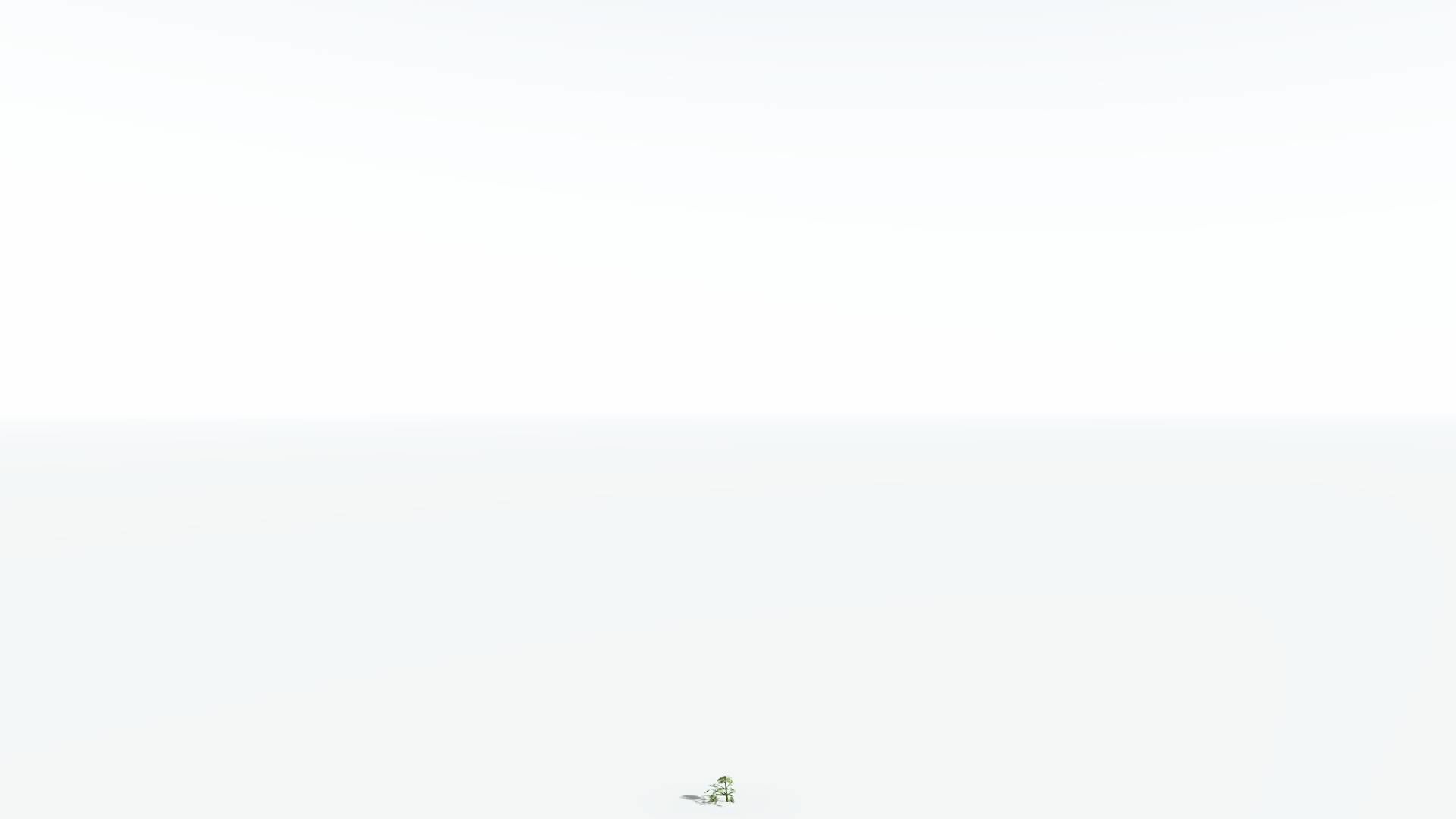 EVERYPlant Umbrella Thorn Acacia LowPoly 3 --12 Models-- Low-poly 3D model_22