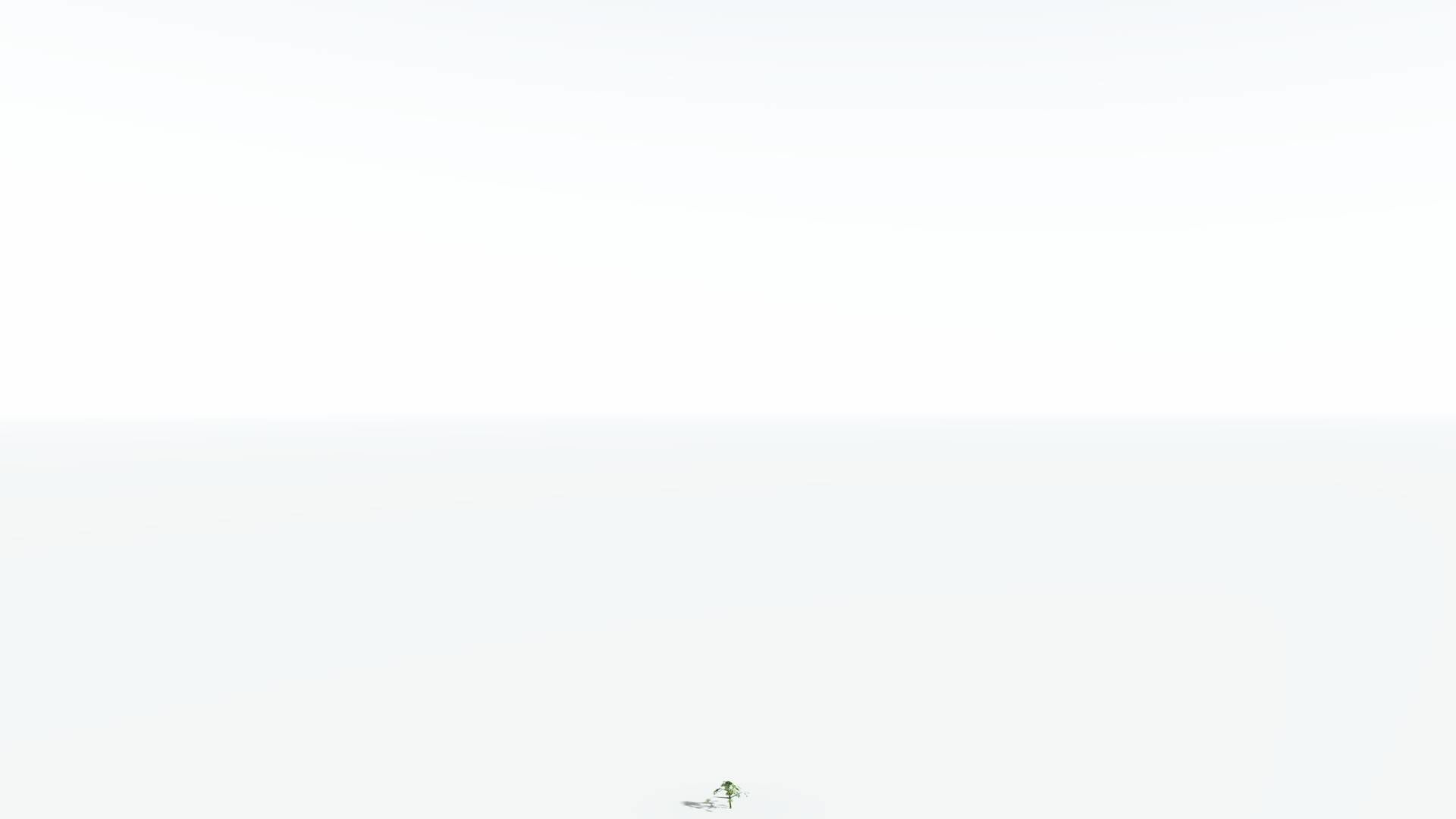 EVERYPlant Umbrella Thorn Acacia LowPoly 4 --12 Models-- Low-poly 3D model_22