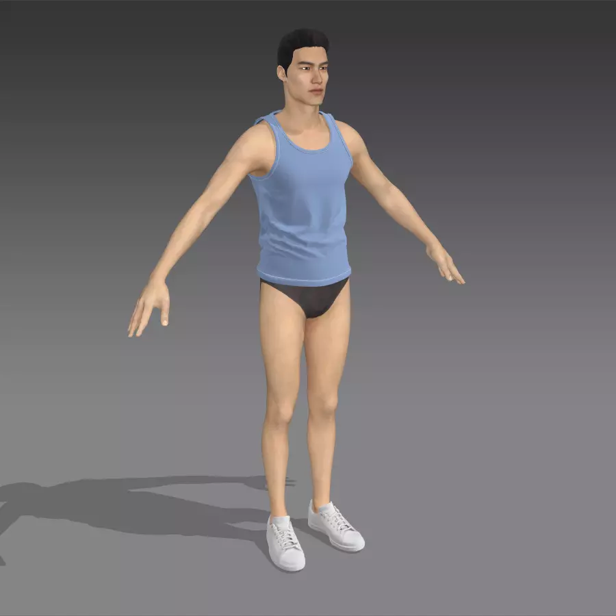 Vest3d Free 3D model