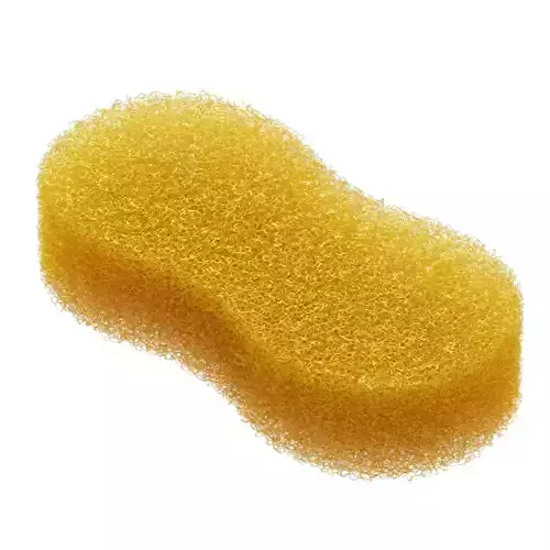 Loofah Sponge for Close-Up Ultra High Poly 3D model