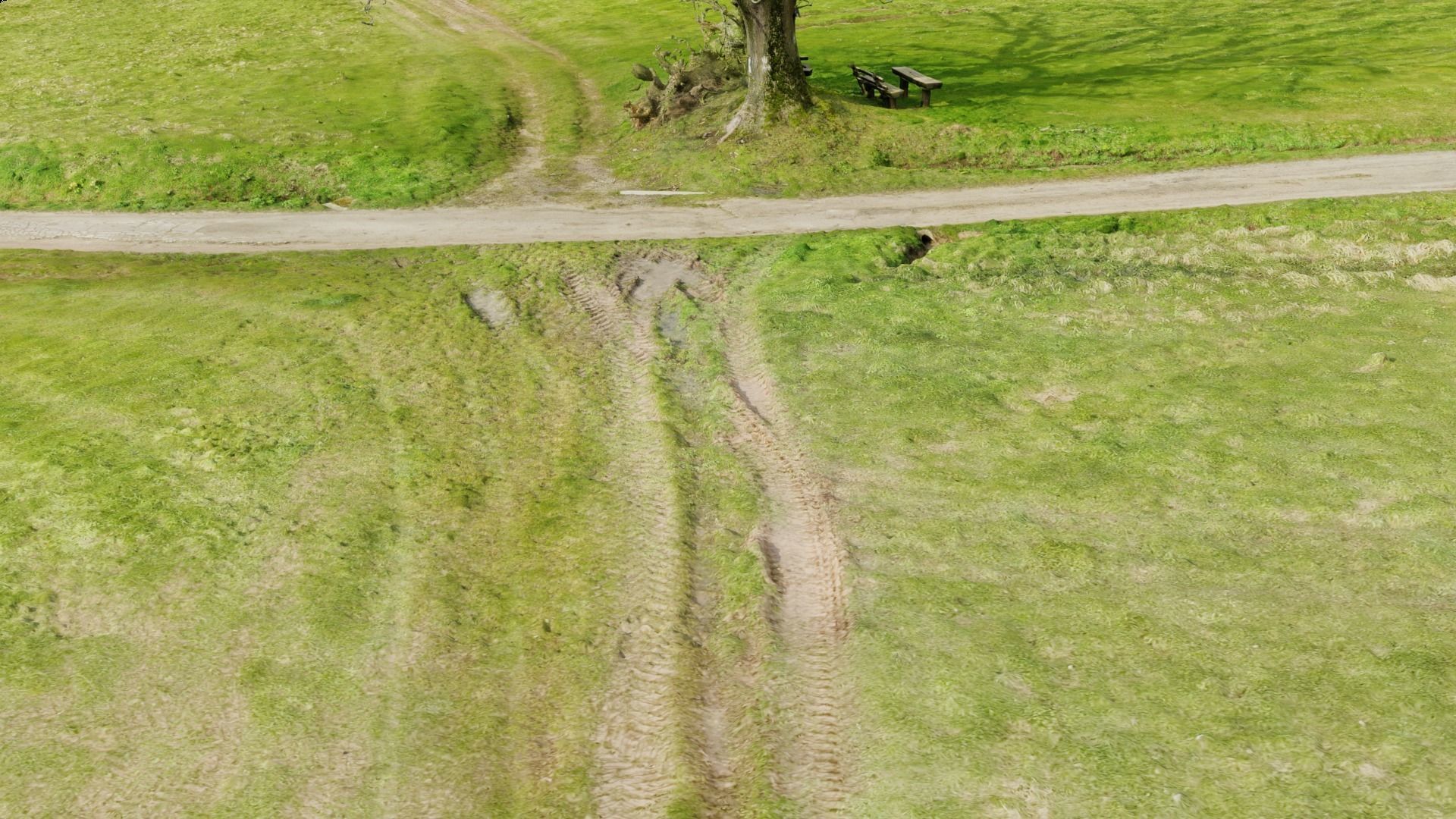 Grass path - 3D Scan EXTREM performance friendly 3D model_10