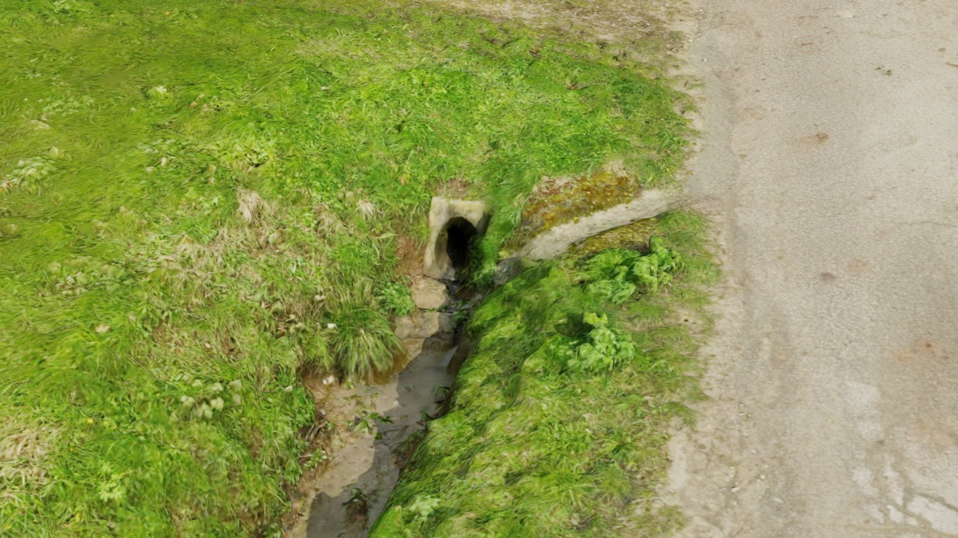 Grass path - 3D Scan EXTREM performance friendly 3D model_8