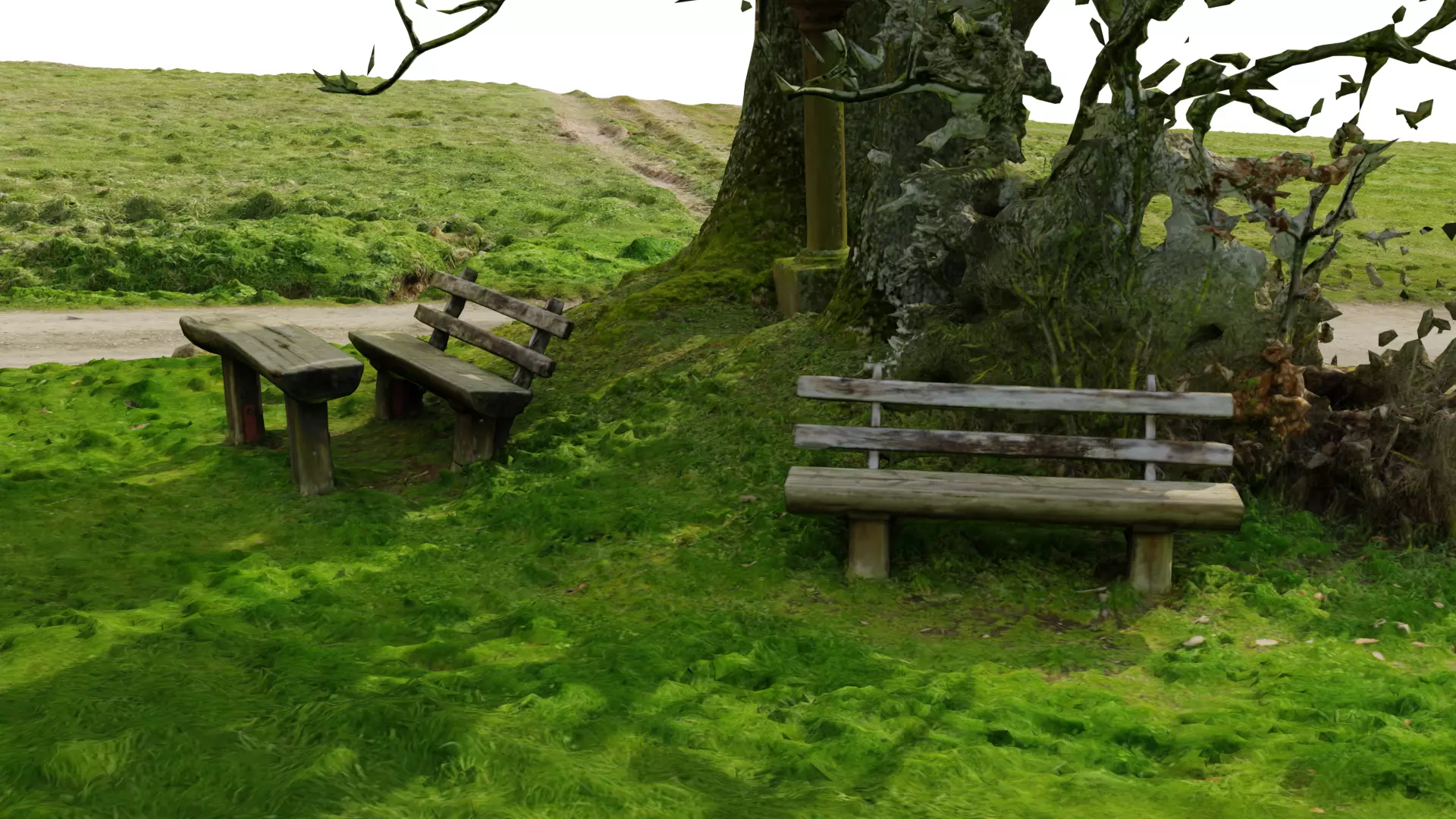 Grass path - 3D Scan EXTREM performance friendly 3D model_0