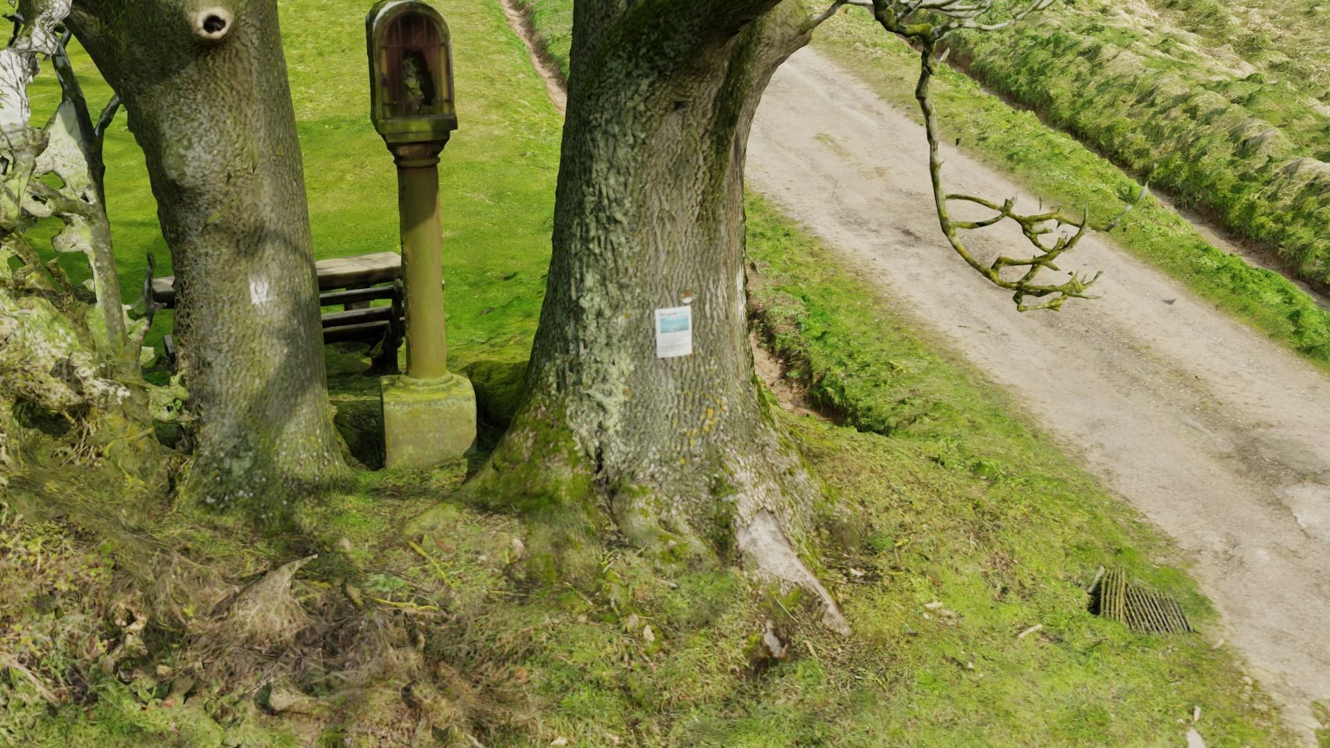 Grass path - 3D Scan EXTREM performance friendly 3D model_6