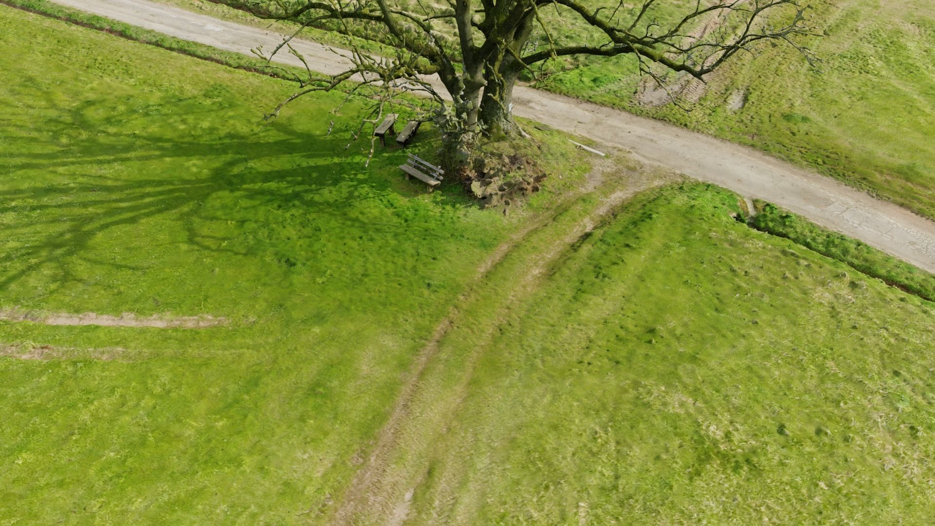 Grass path - 3D Scan EXTREM performance friendly 3D model_7