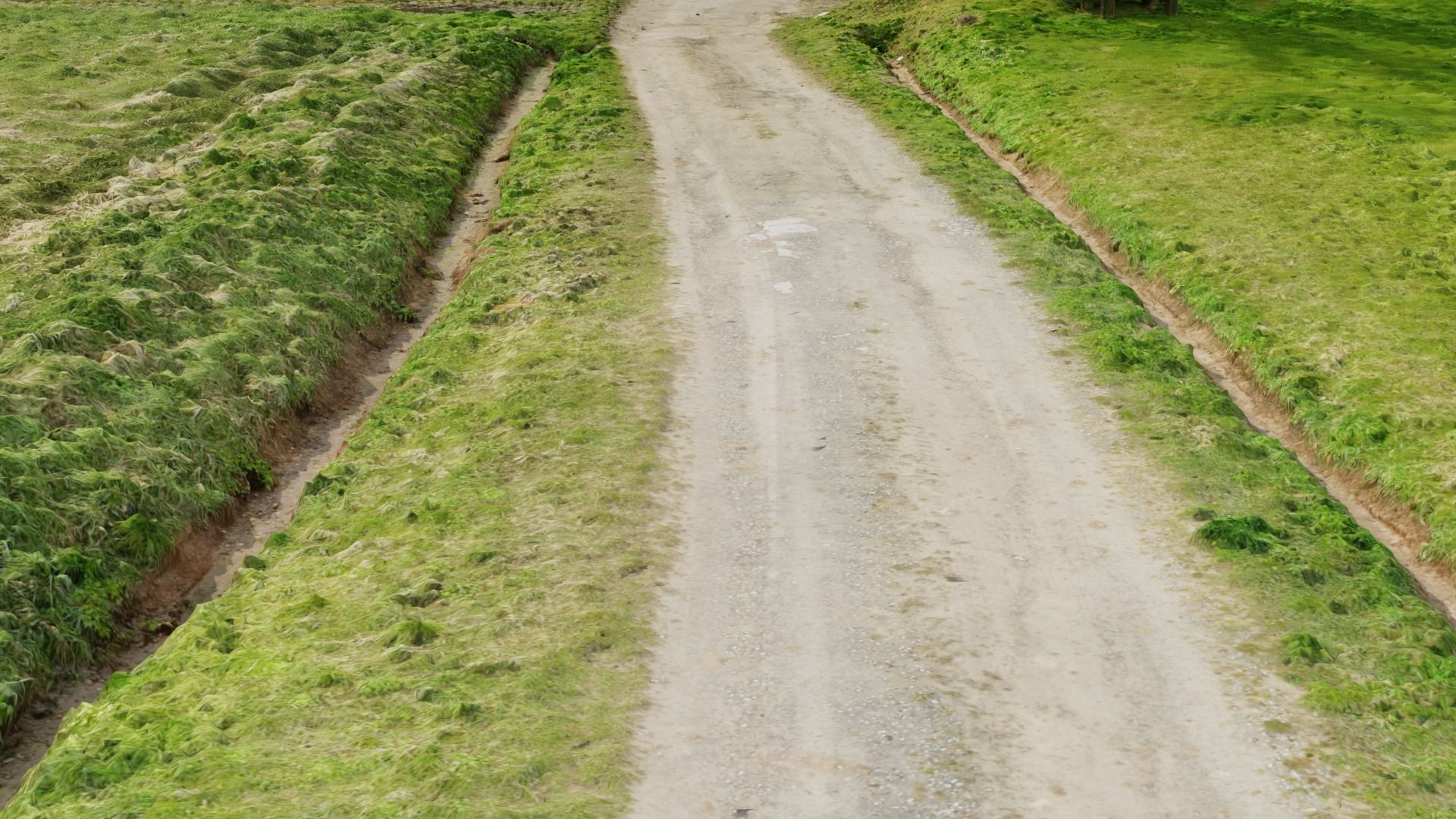 Grass path - 3D Scan EXTREM performance friendly 3D model_9