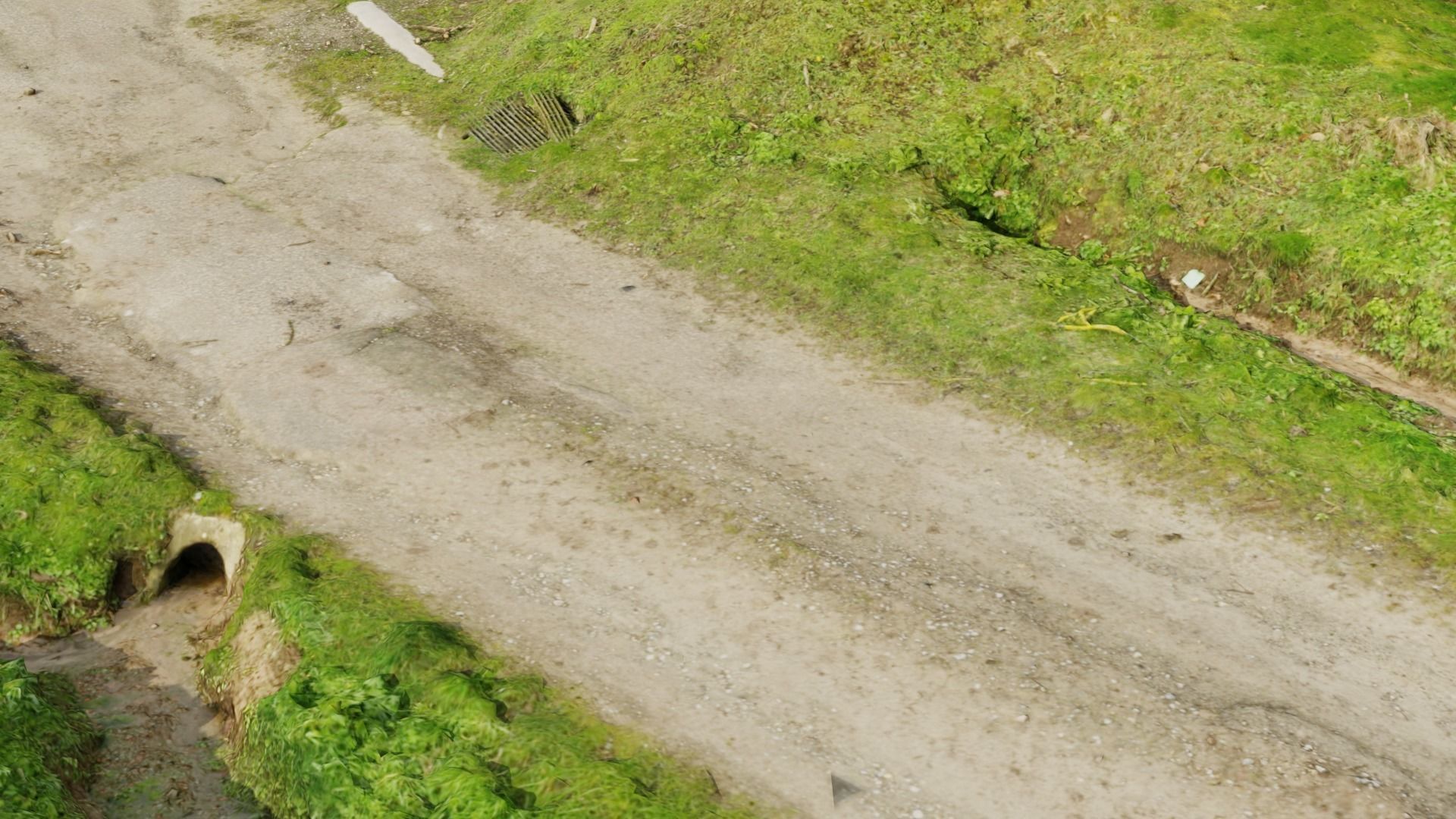 Grass path - 3D Scan EXTREM performance friendly 3D model_5