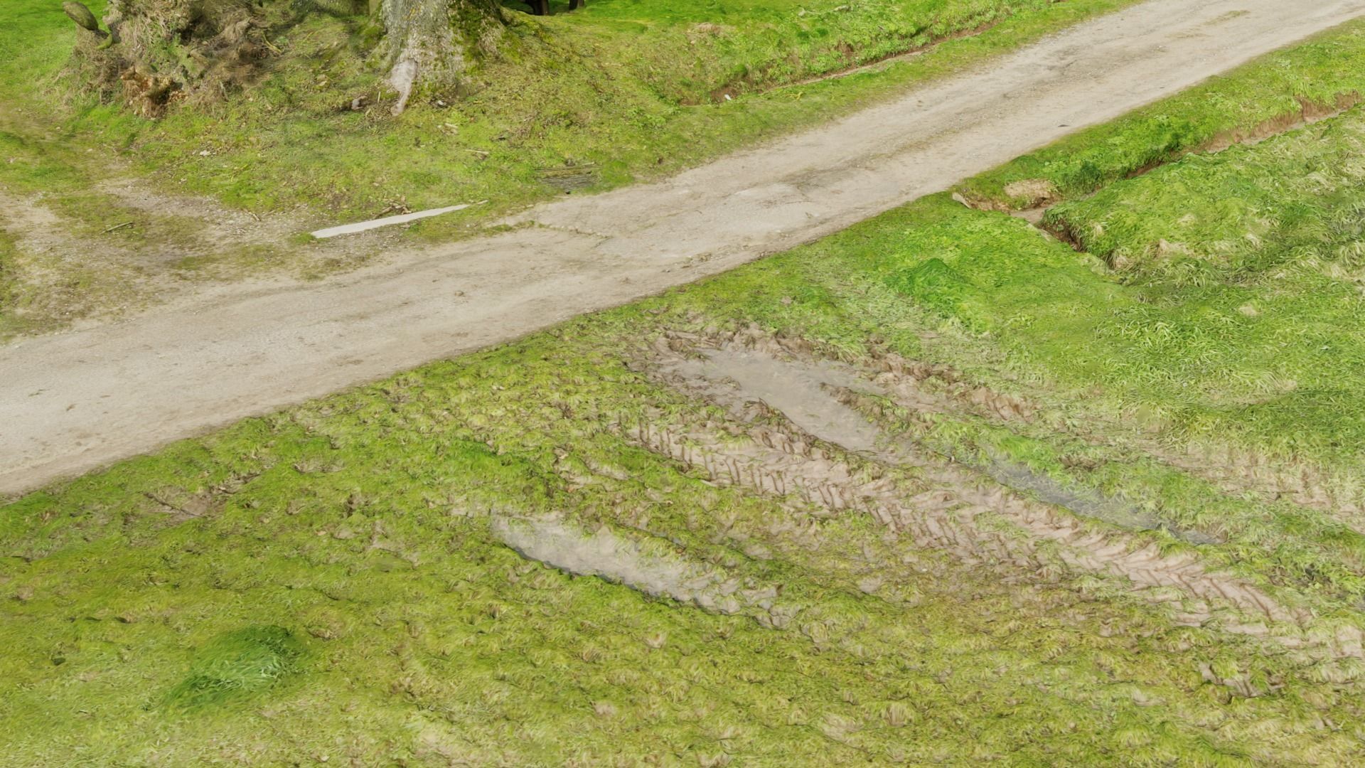 Grass path - 3D Scan EXTREM performance friendly 3D model_4