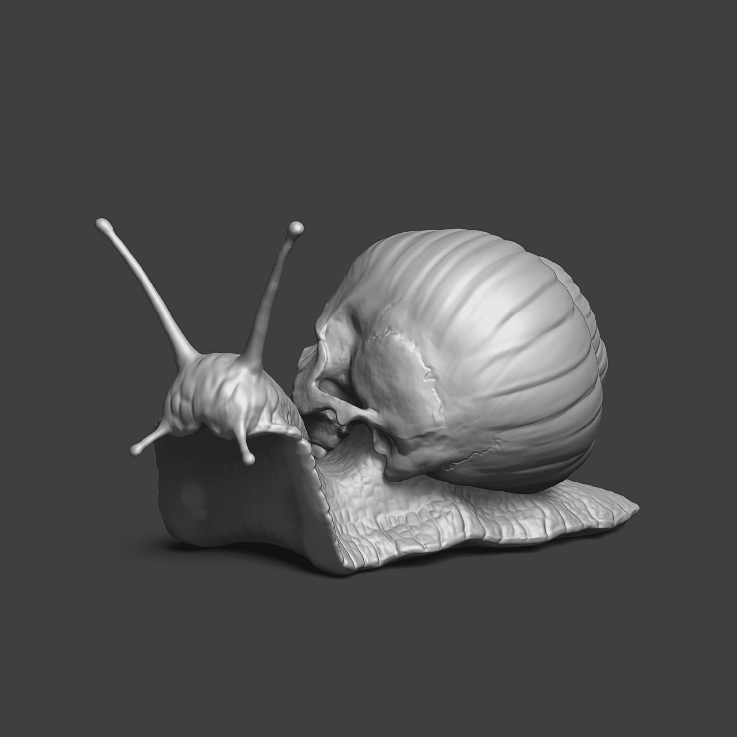 Snail with a skull 3D print model_2