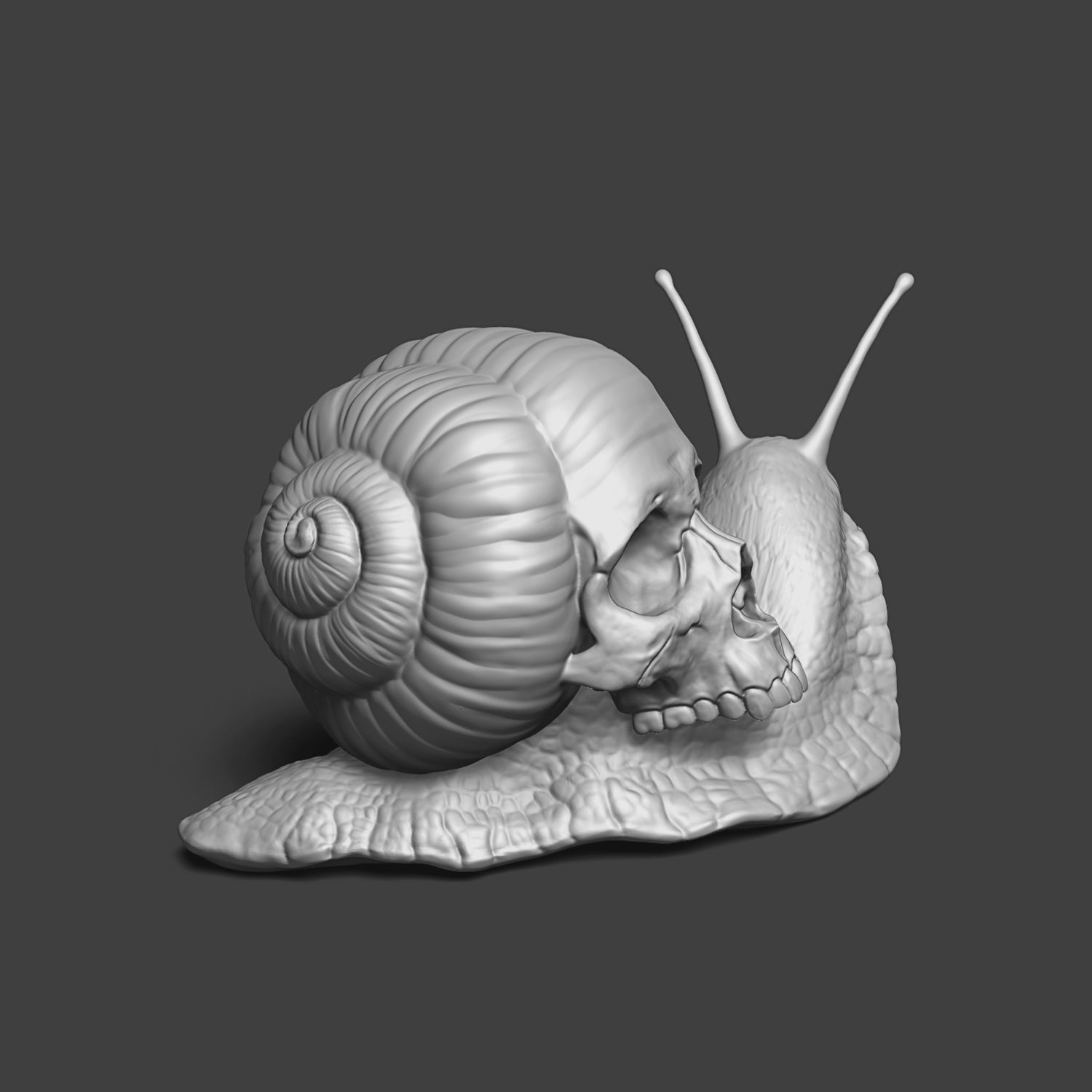 Snail with a skull 3D print model_3