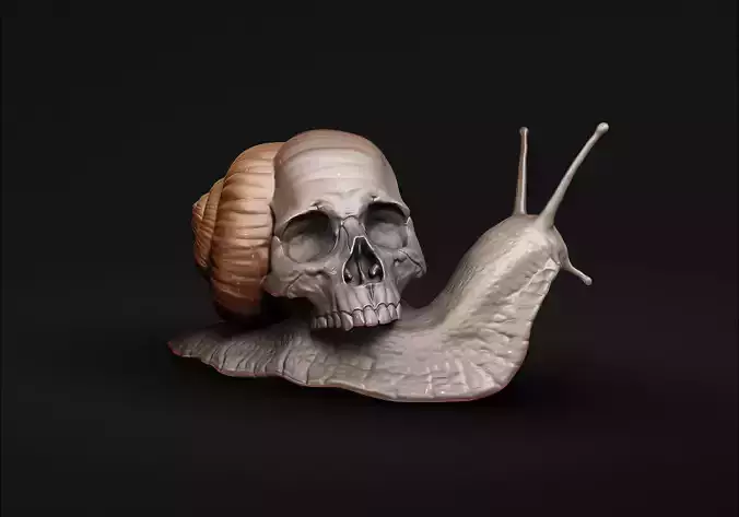 Snail with a skull 3D print model
