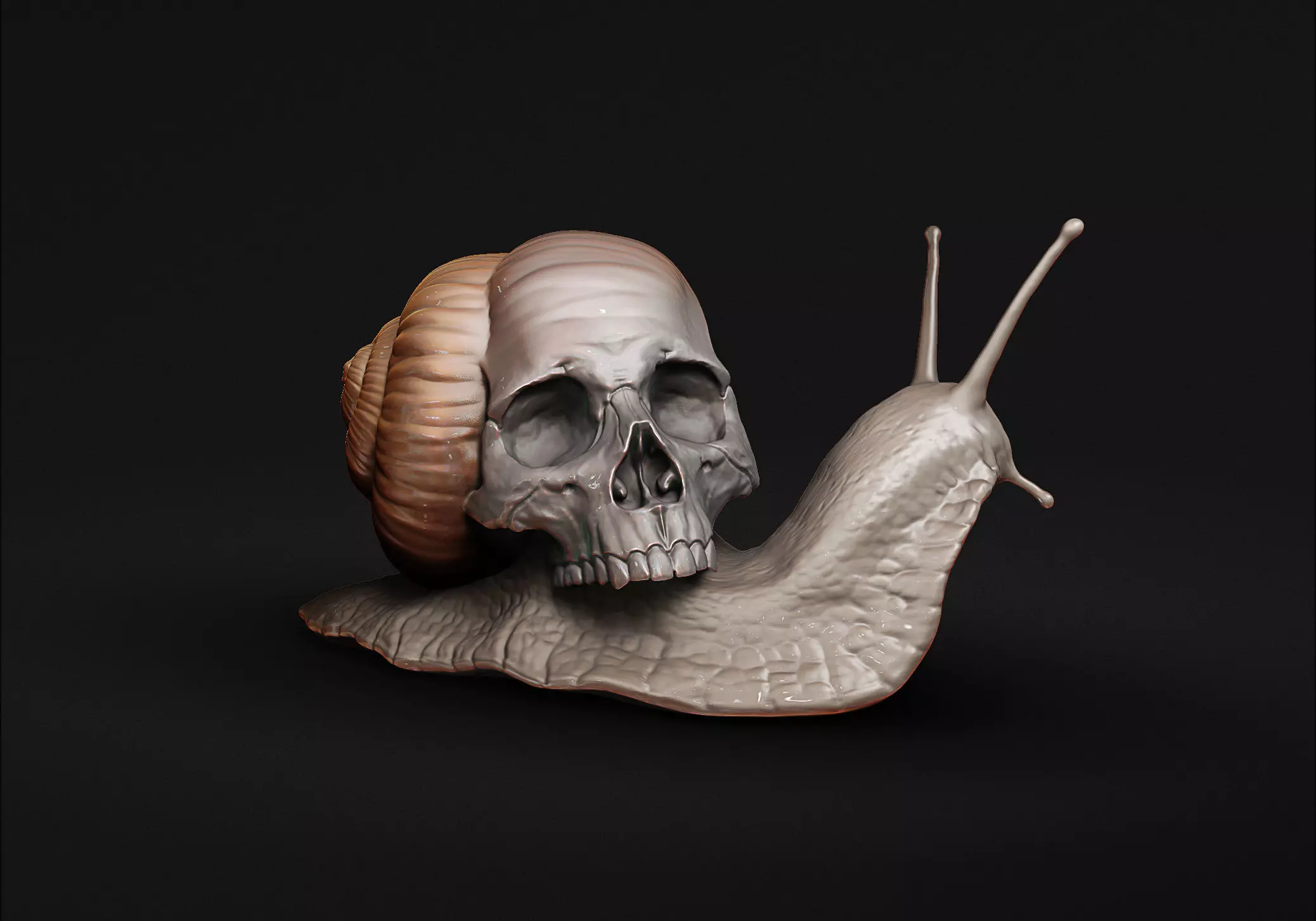 Snail with a skull 3D print model_0