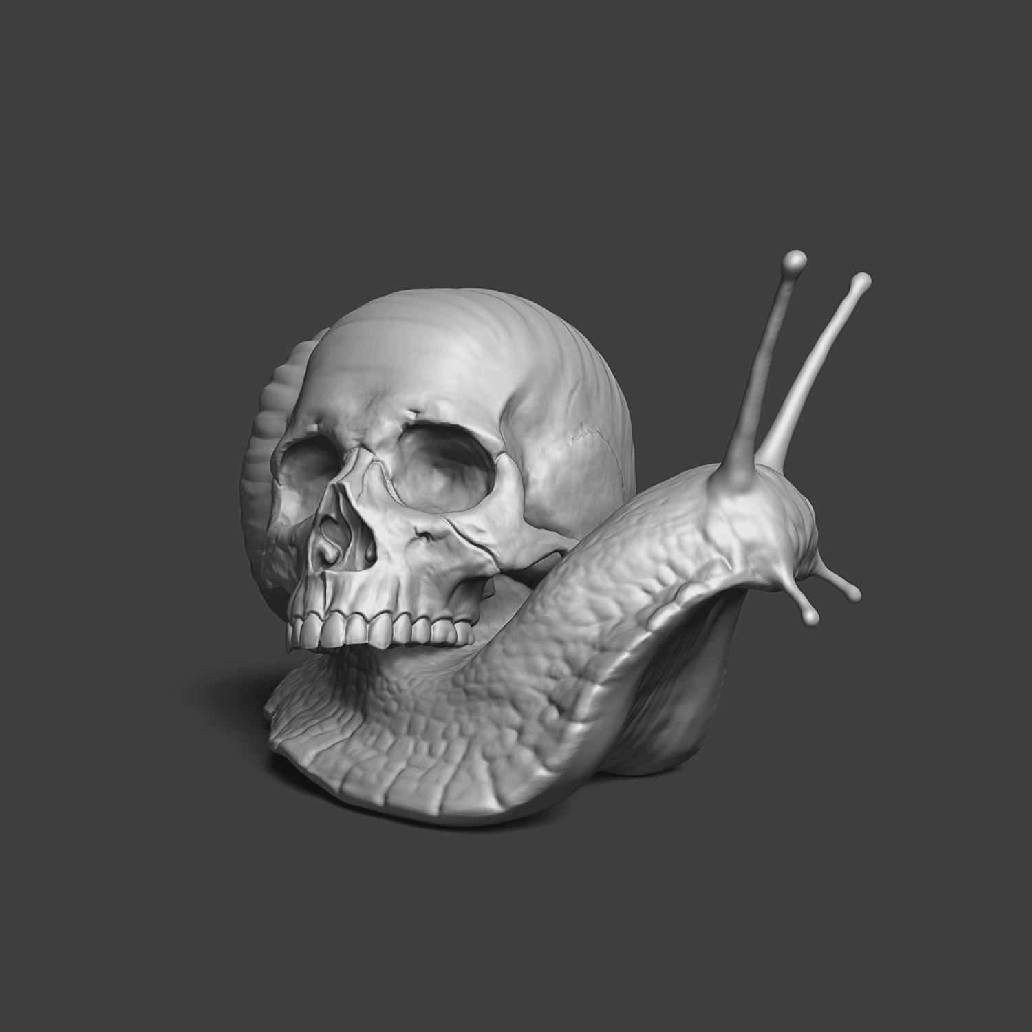 Snail with a skull 3D print model_1