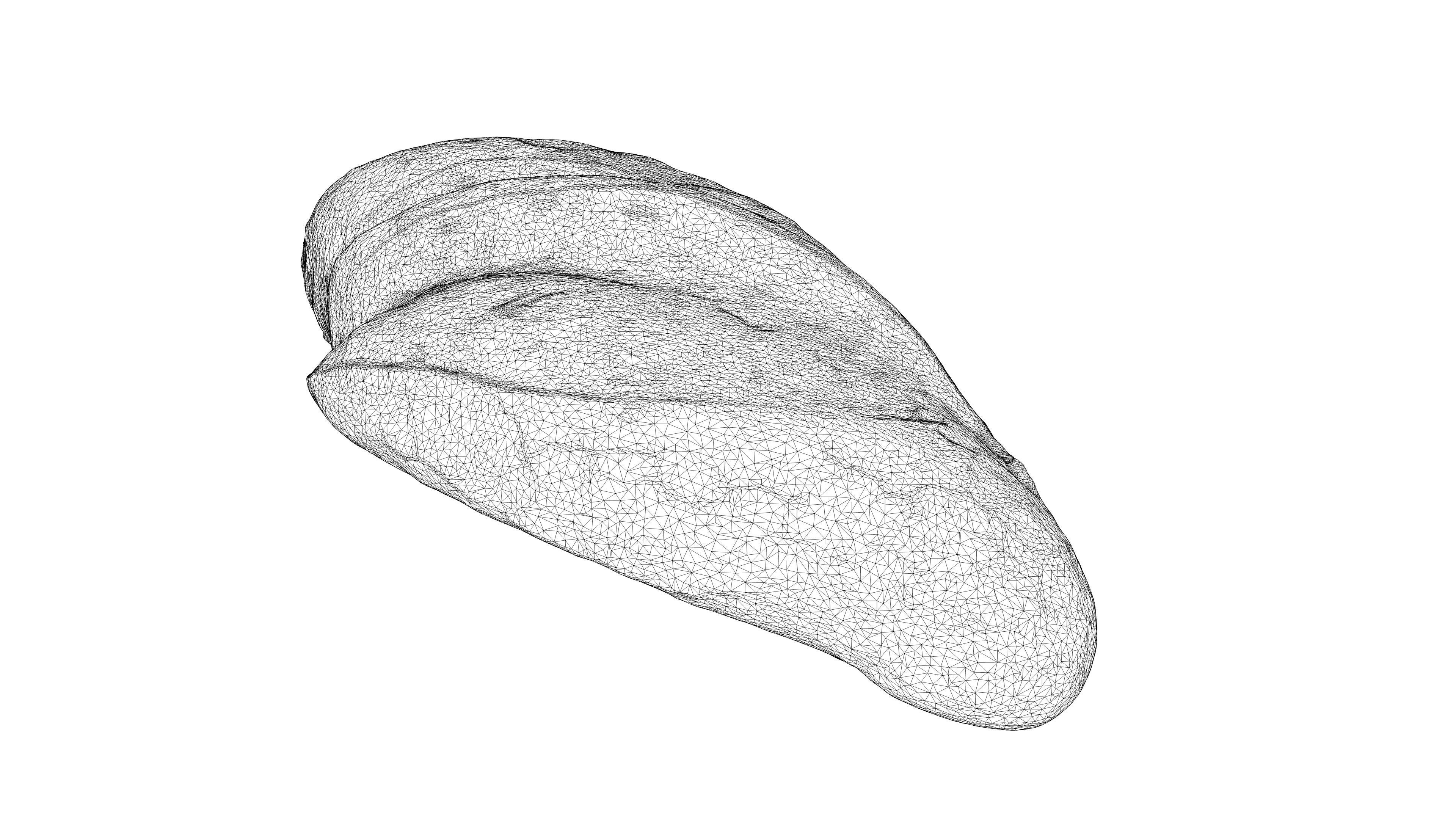 Photorealistic 3D scan of wheat Loaf  Low-poly 3D model_20