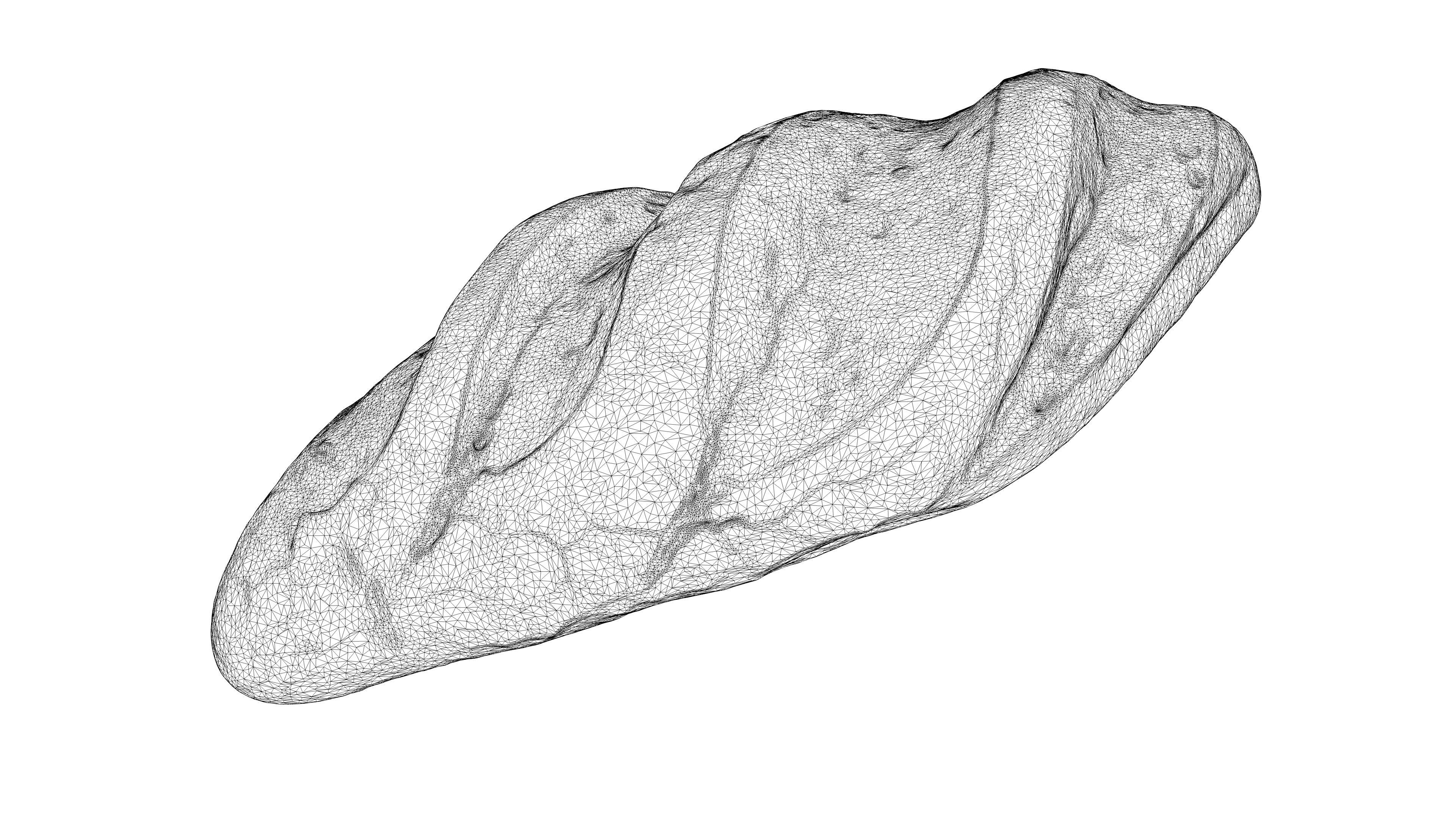 Photorealistic 3D scan of wheat Loaf  Low-poly 3D model_21