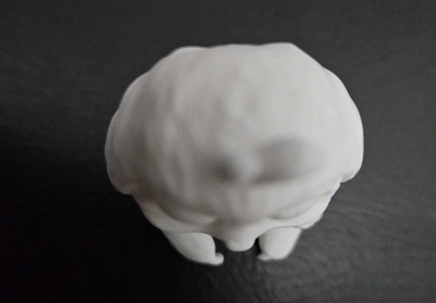 Sloth Bow Tie 3D print model_14