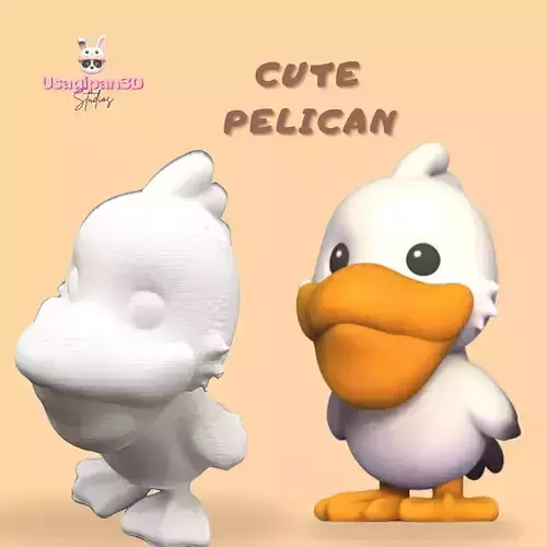 Cute Pelican