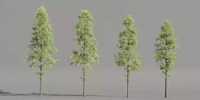 Pine Trees collection vol 227-Blender 3D model