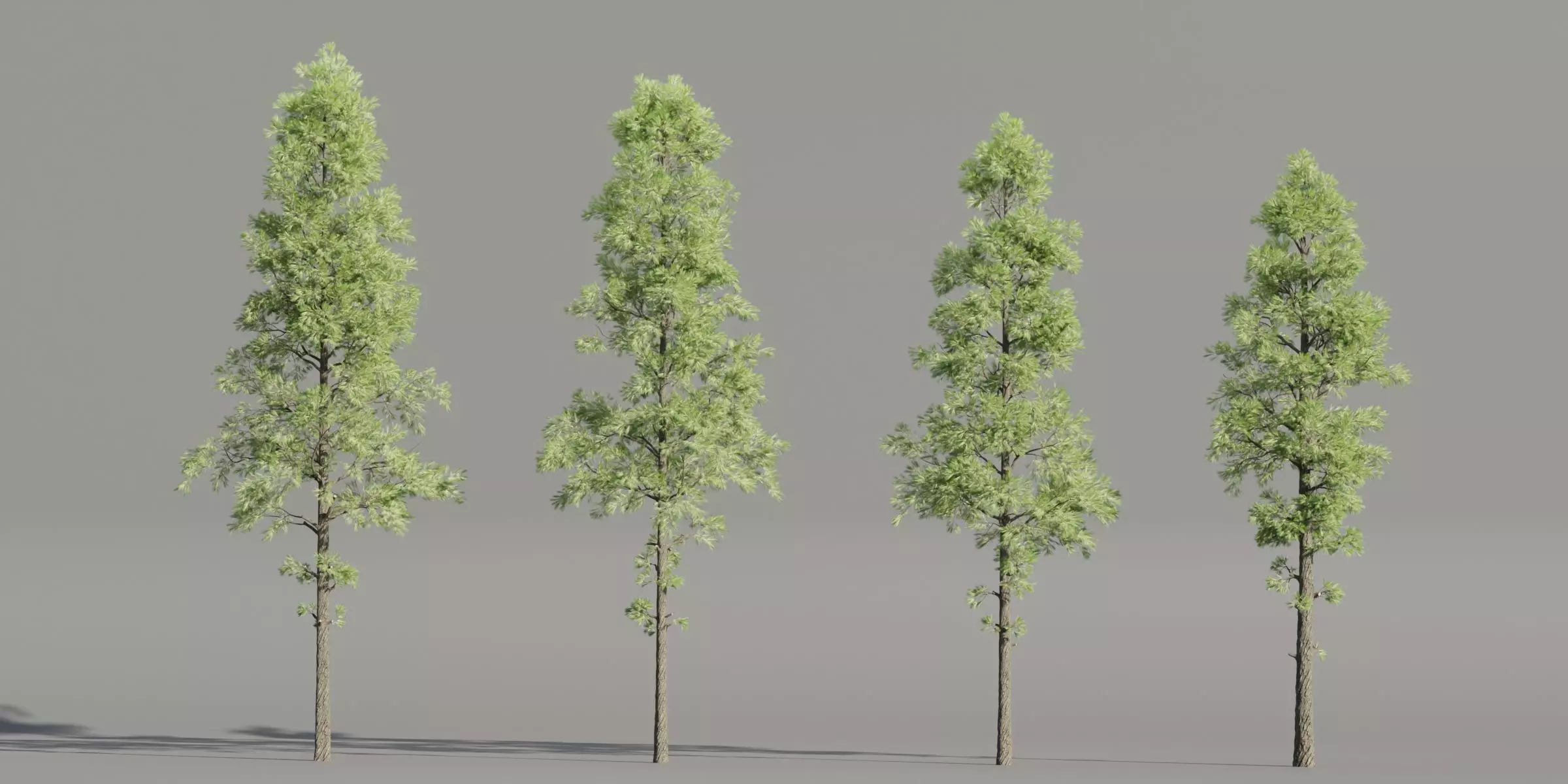 Pine Trees collection vol 227-Blender 3D model