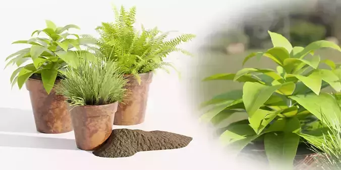 Lowpoly Pot Plants collection vol 228-Blender Low-poly 3D model