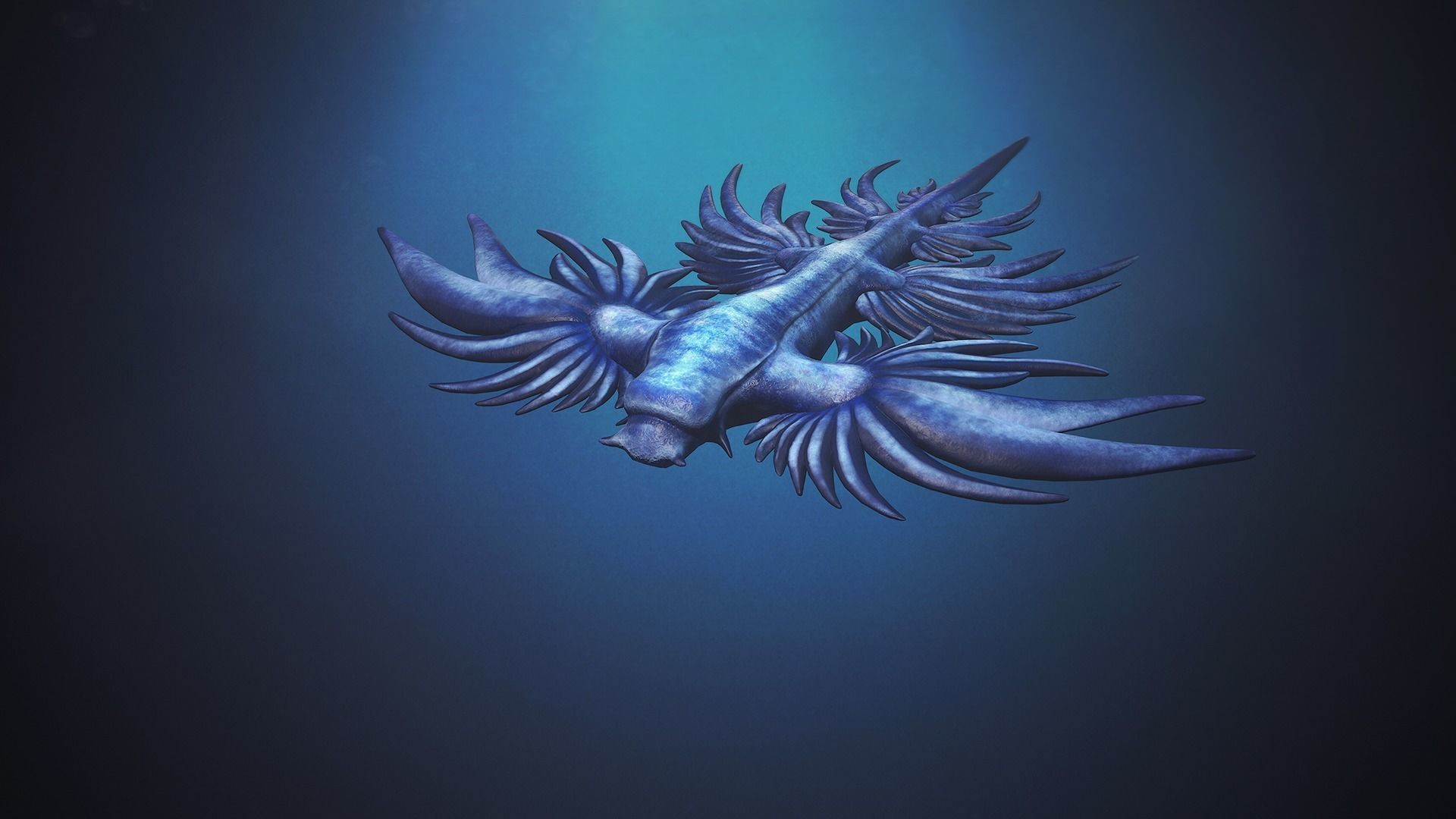 Sea Blue Dragon - Game Ready Low-poly 3D model Low-poly 3D model_4