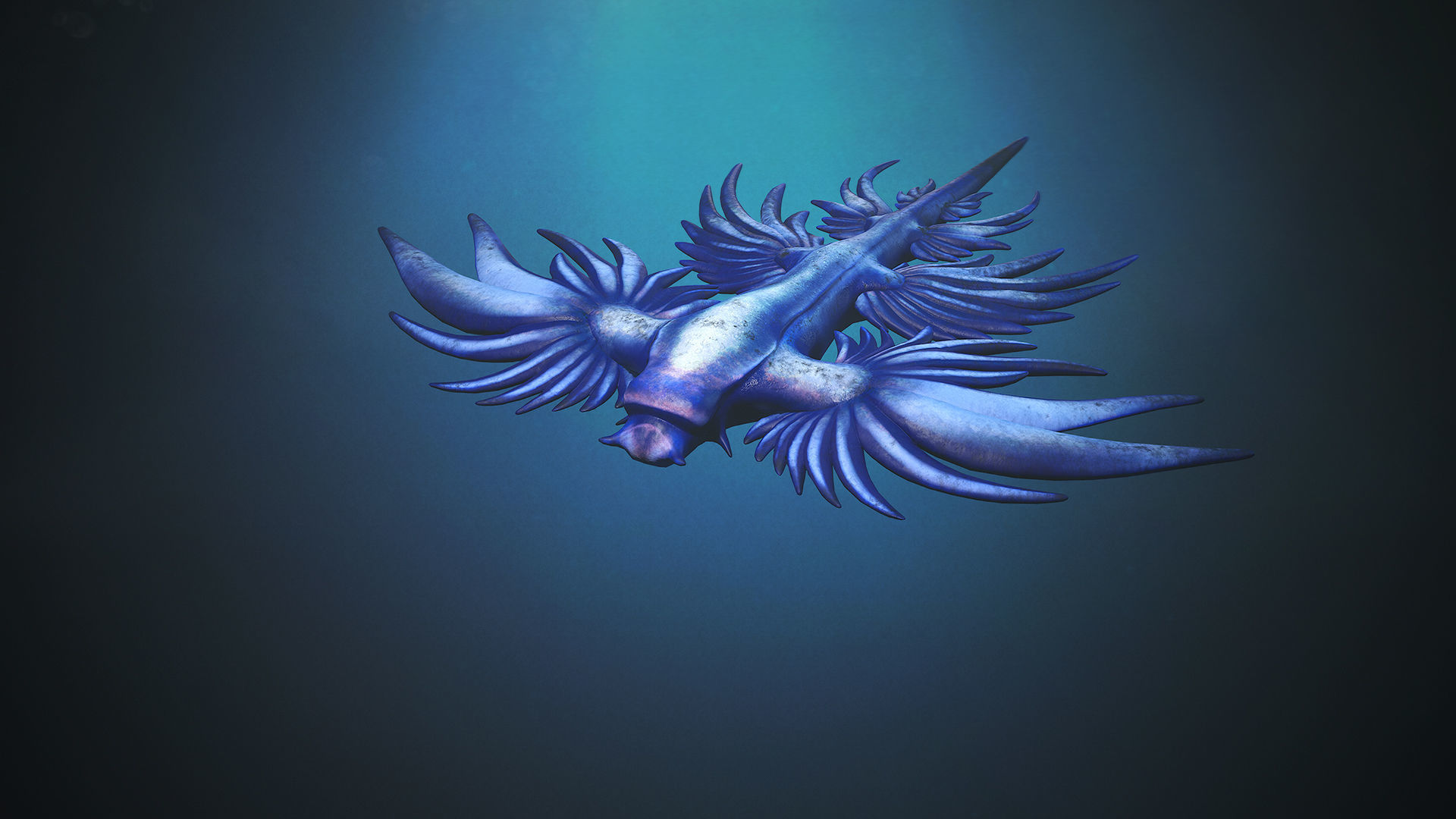 Sea Blue Dragon - Game Ready Low-poly 3D model Low-poly 3D model_2
