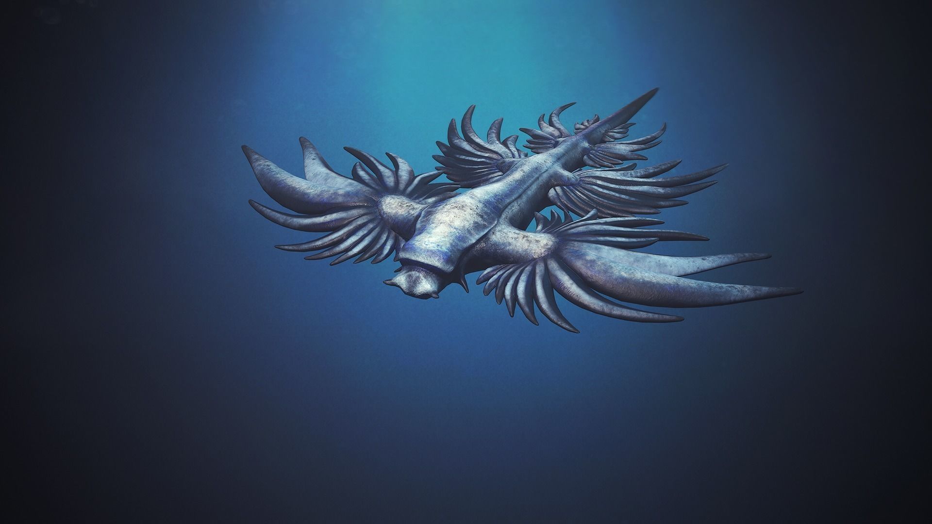 Sea Blue Dragon - Game Ready Low-poly 3D model Low-poly 3D model_6