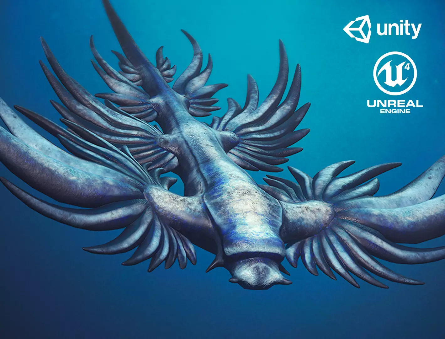 Sea Blue Dragon - Game Ready Low-poly 3D model Low-poly 3D model_0