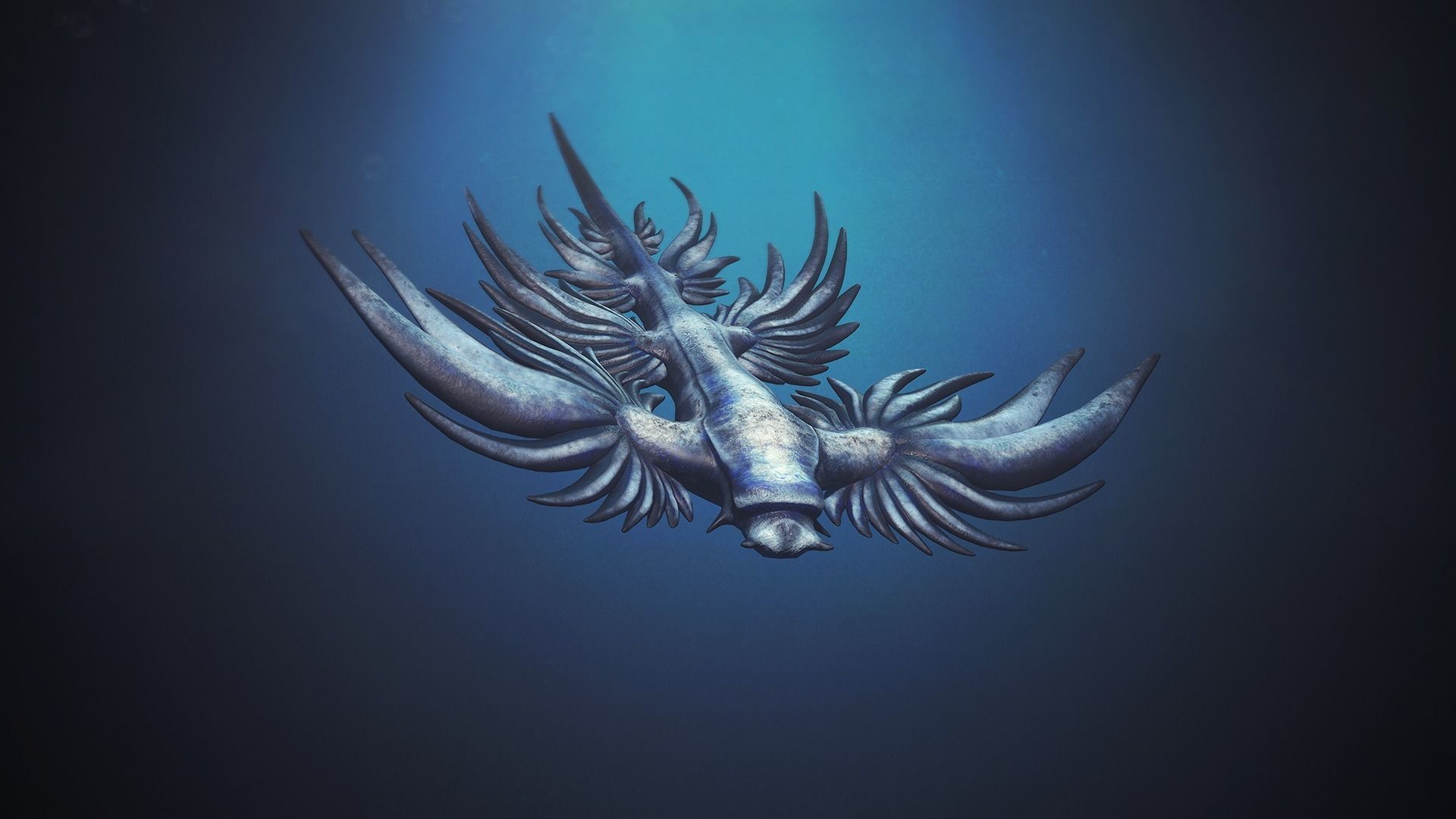 Sea Blue Dragon - Game Ready Low-poly 3D model Low-poly 3D model_5