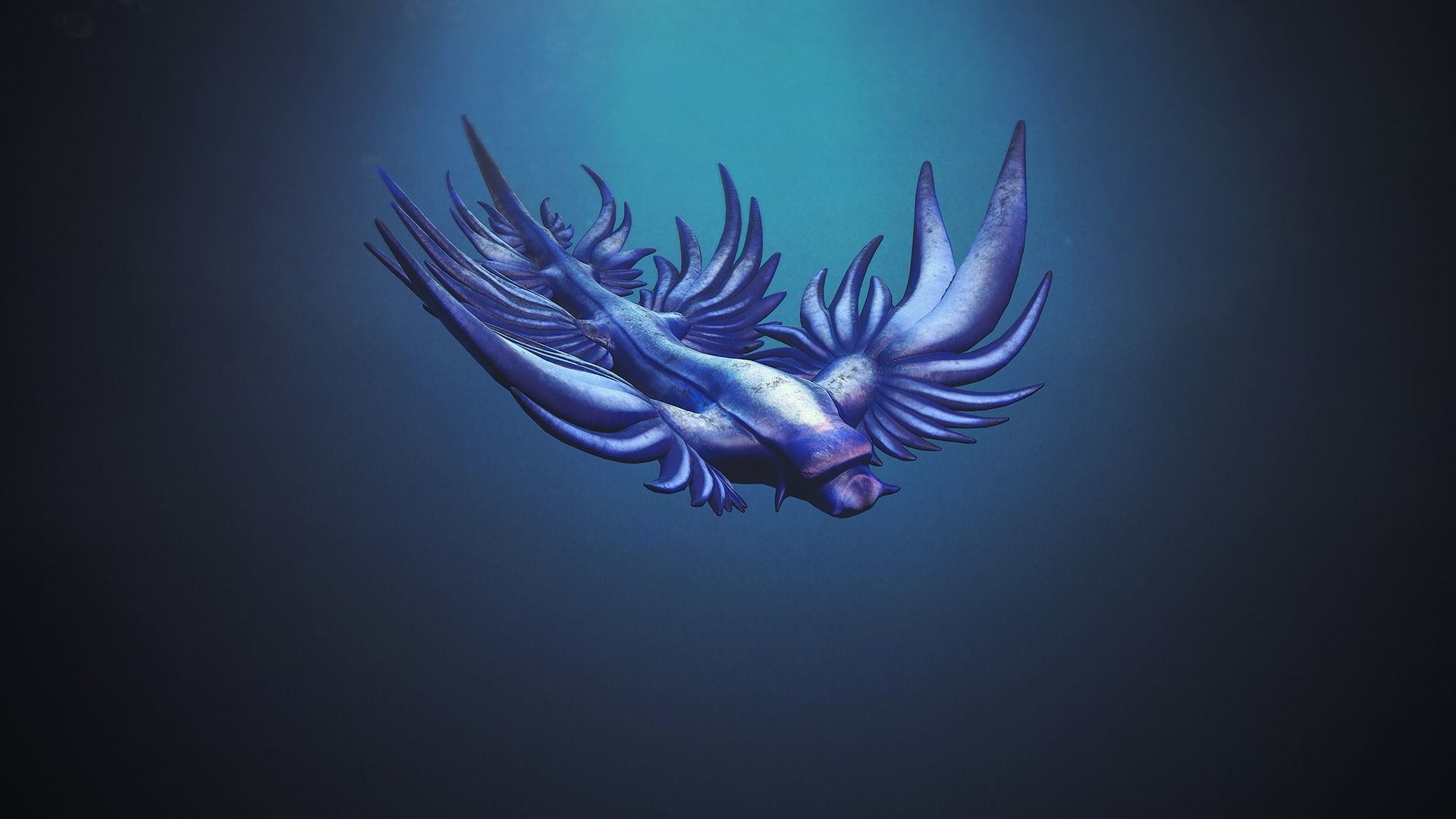 Sea Blue Dragon - Game Ready Low-poly 3D model Low-poly 3D model_3