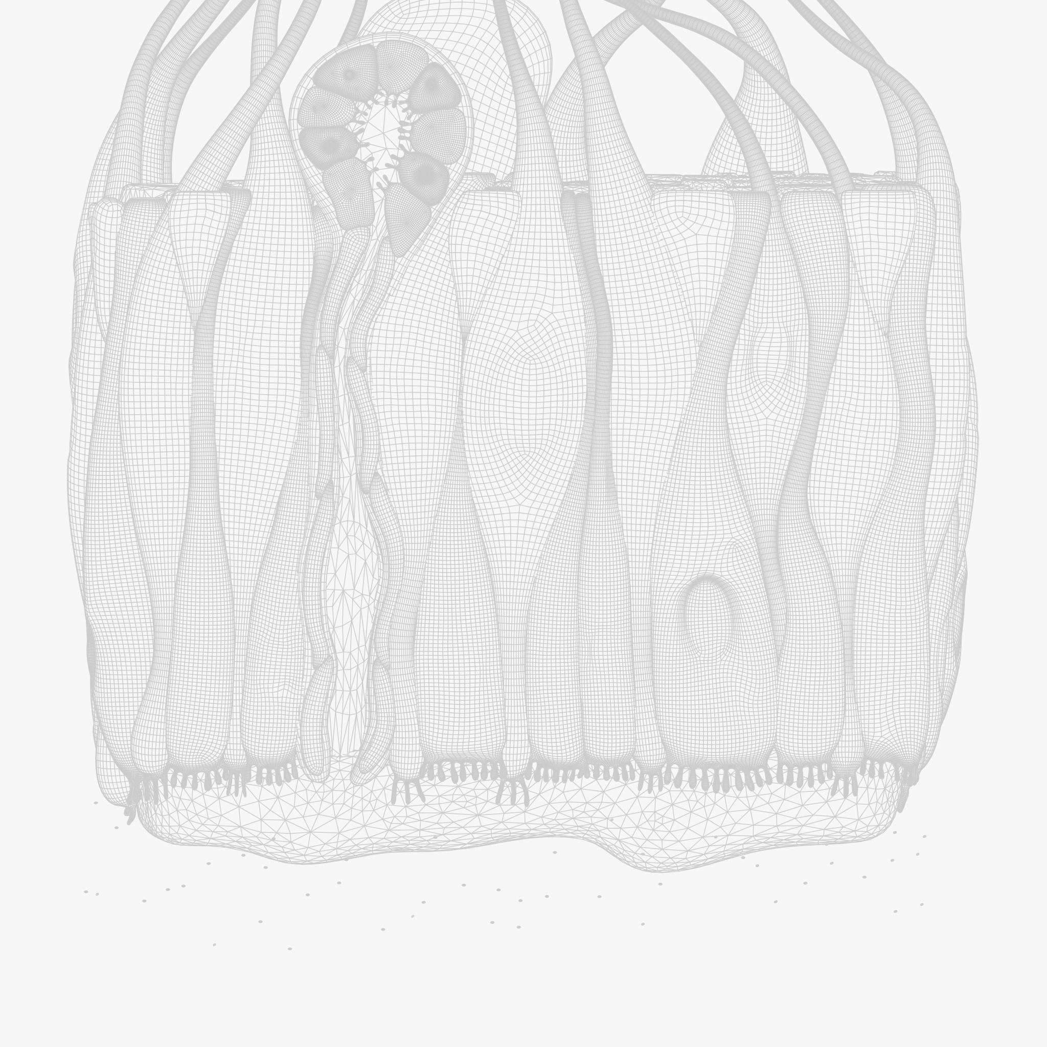 Olfactory Epithelium Microscopic Anatomy 3D model_13