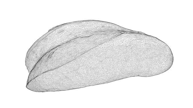 Photorealistic 3D scan of half a wheat Loaf Low-poly 3D model 5