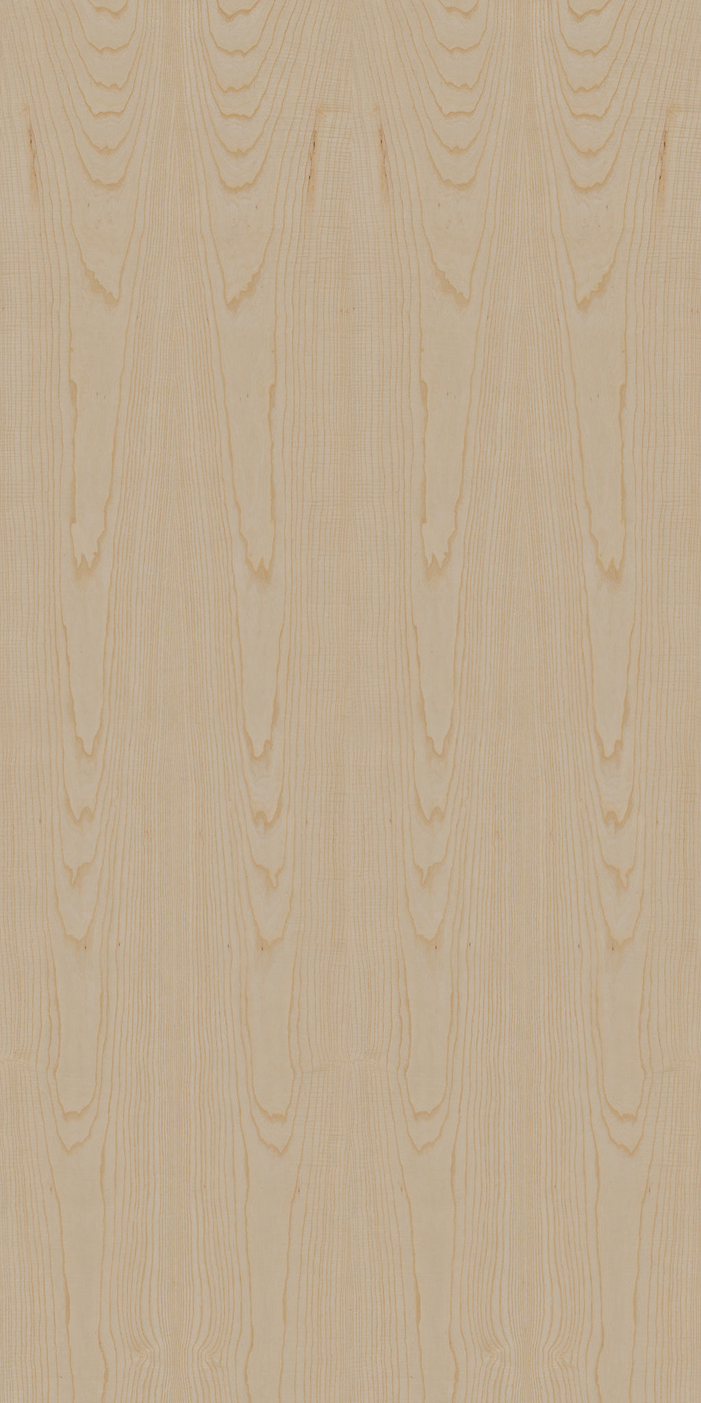 exhibition pastel 3D model_17