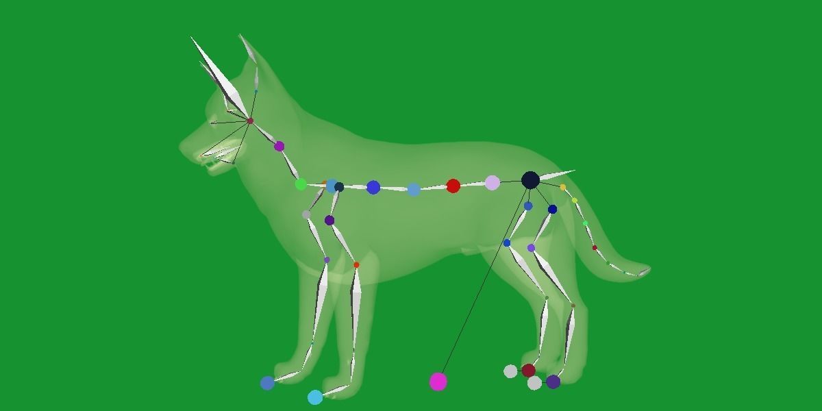 Lapponian Herder Dog Breed Low-poly 3D model_18